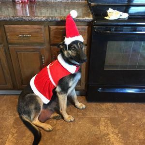 Meet your Posher, Jackie